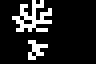 brain-right-4