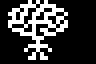 brain-up-3